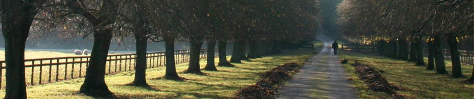 St. Louis Area Bahá’í – Practical Religion.com